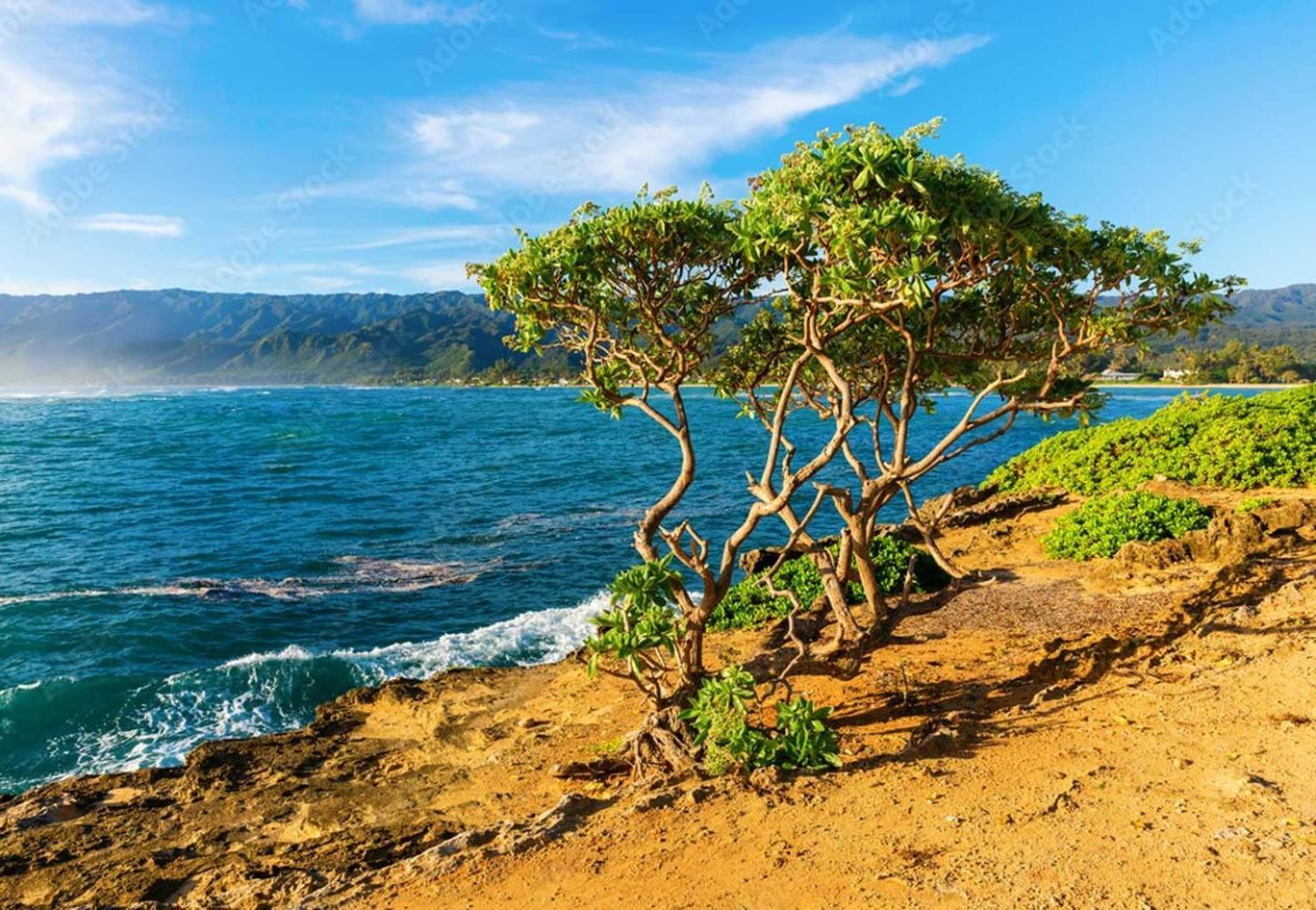 Naupaka Breeze Ocean View Ac 30 Day Stay Specials! 라이에 외부 사진